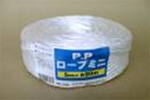 PP [v@